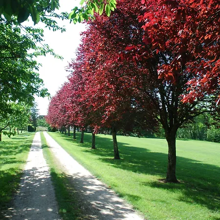 Hotel La Chartreuse Du Bignac - Teritoria Saint-Nexans