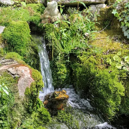 La Chartreuse Du Bignac - Teritoria Saint-Nexans
