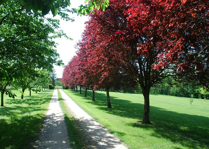 Hotel La Chartreuse Du Bignac - Teritoria Saint-Nexans